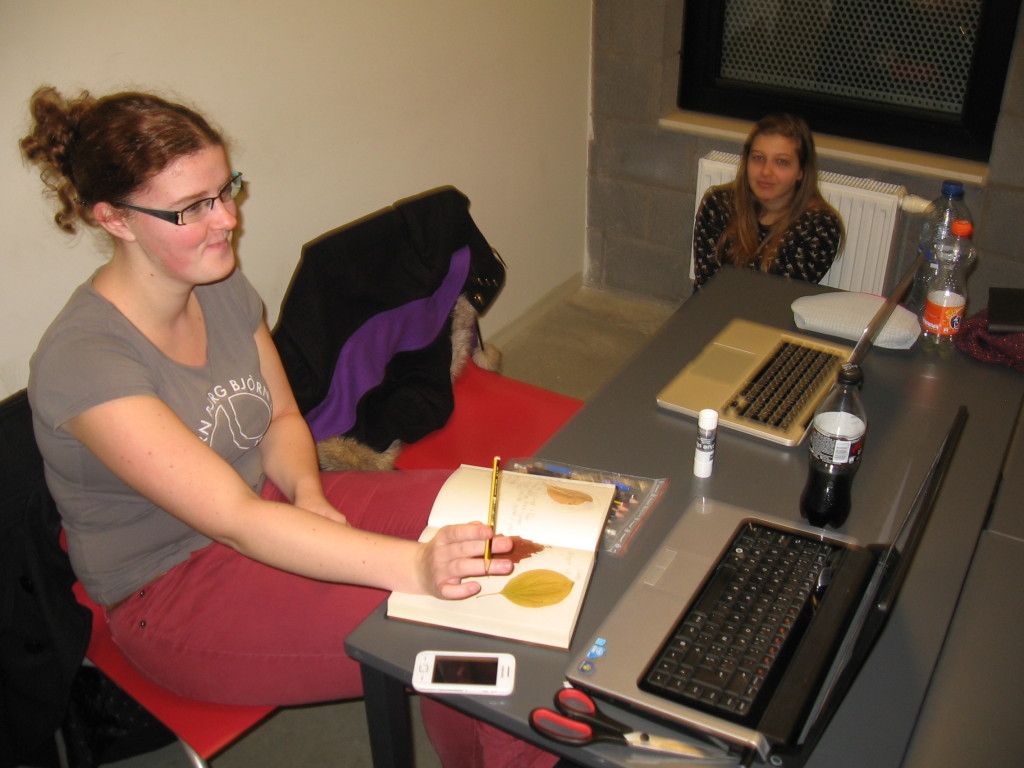 Collaborators are encouraged to use all sorts of materials, such as in this case, autumn leaves, paper, scissors and glue.